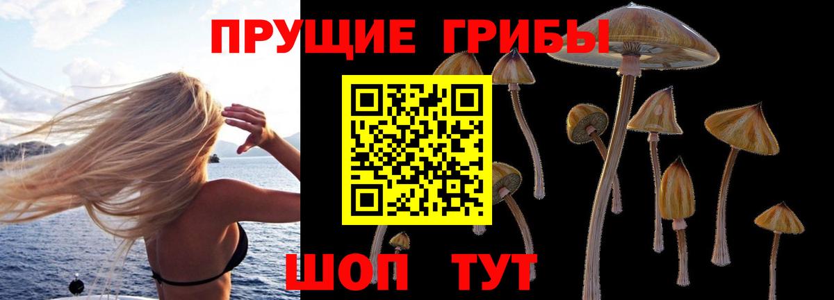Псилоцибиновые грибы мицелий Кириши
