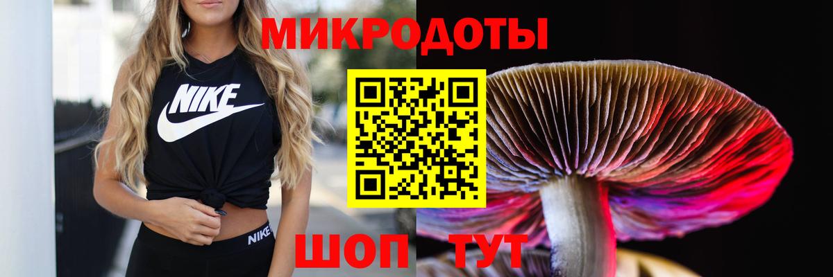 Псилоцибиновые грибы Psilocybe  Вход с VPN  Кириши  купить закладку  Псилоцибиновые грибы Cubensis 
